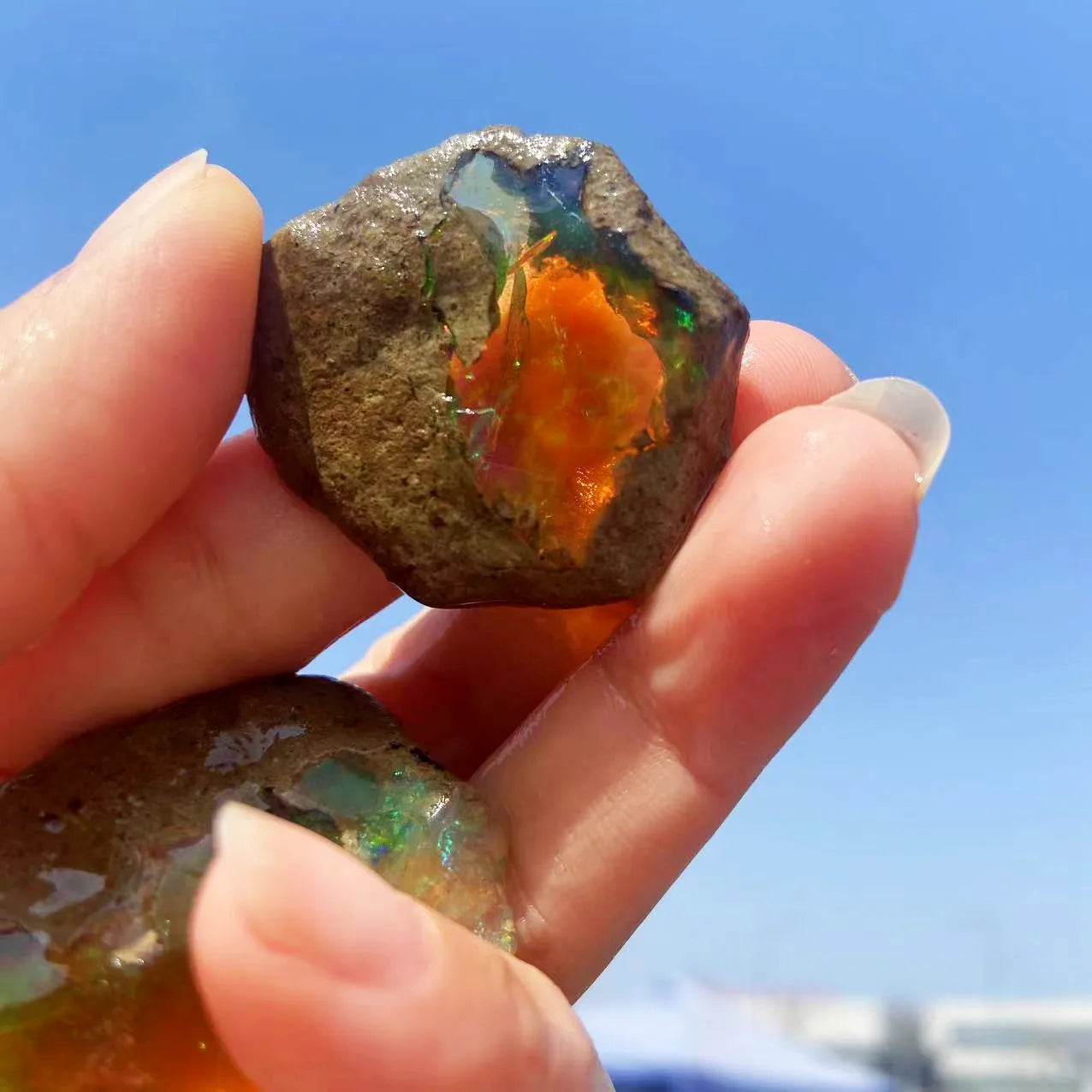 High Quality Natural Opal Crystal Rough Ethiopian Fire Opals Stone Raw Mineral Specimen for Healing Meditation