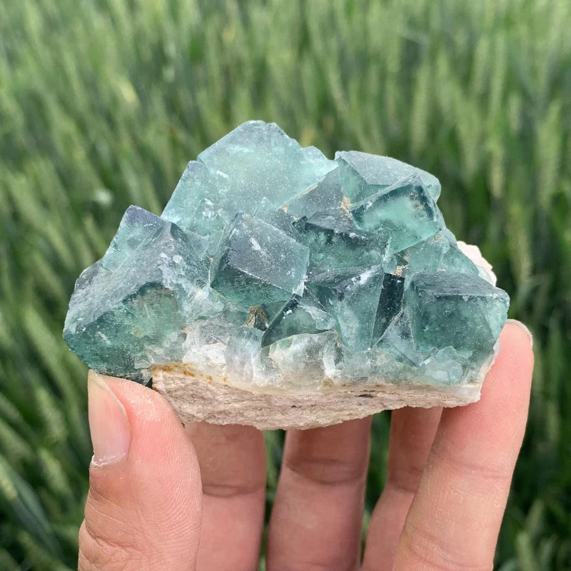 Wholesale Natural Healing Crystal Rough Quartz Stone Fluorite Mineral Specimen Green Fluorite Cluster for Gifts