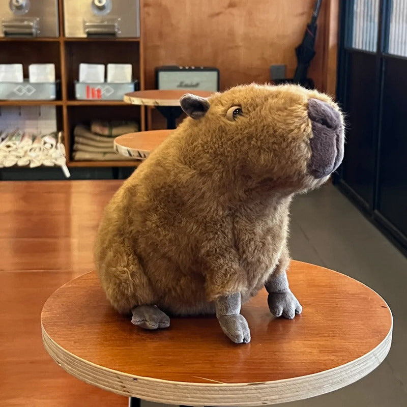 Jellycat plush toys with complete labels, including the Sun, Barcelona Bear cub, and Flying Dragon plush toys, available for wholesale as gifts